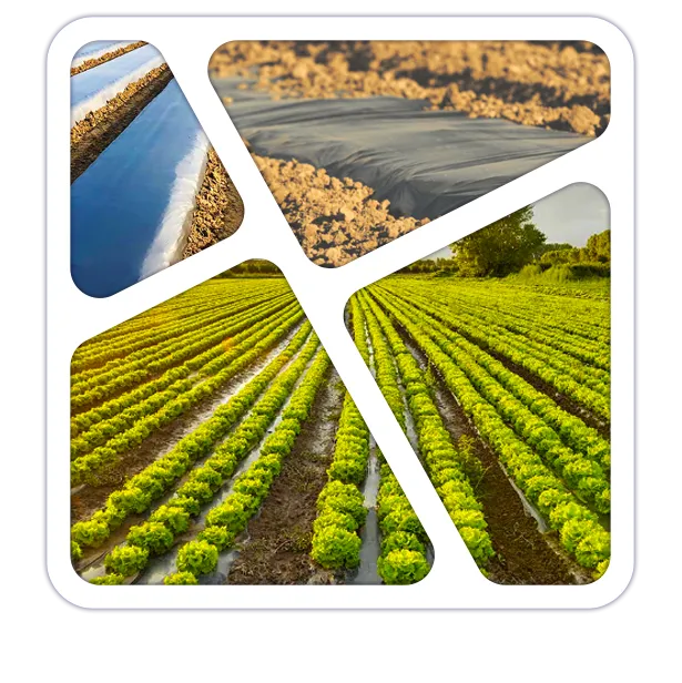 Acolchado agrícola plástico