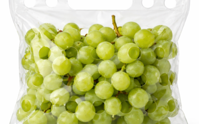 ¿Para qué sirven las Bolsas perforadas en la industria? Guía completa