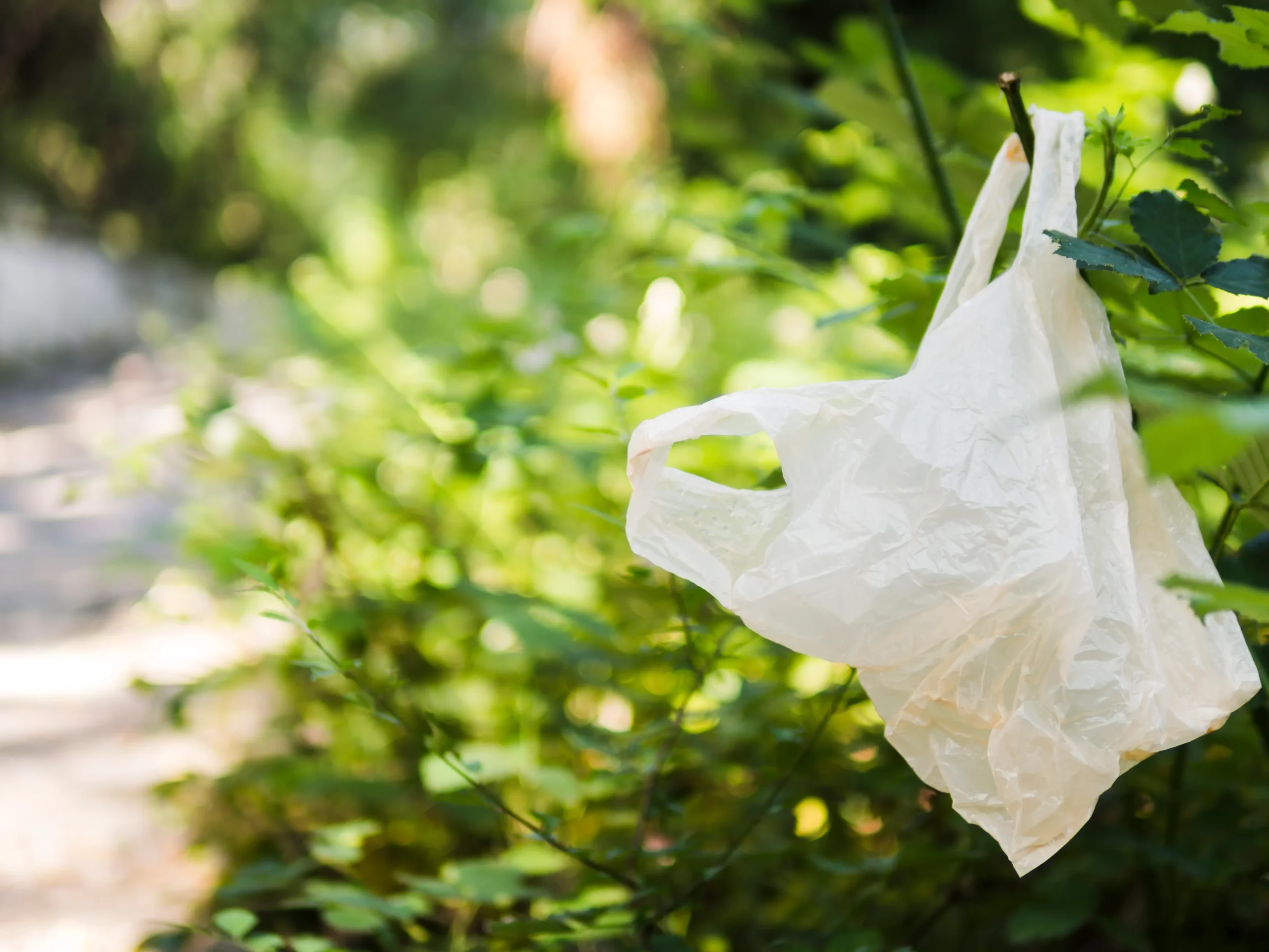 Bolsa de plástico biodegradable amigable con el medio ambiente